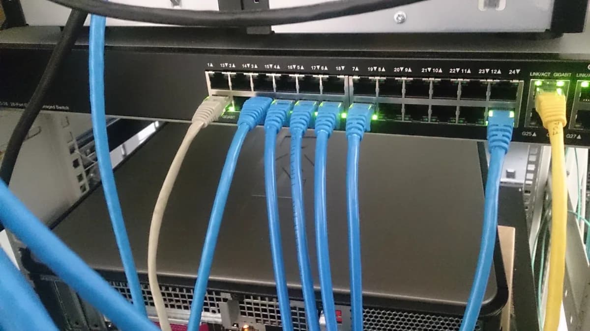 Photo by ProjectManhattan, licensed under CC BY-SA 3.0 (Wikimedia Commons) Network switch with multiple connected cables